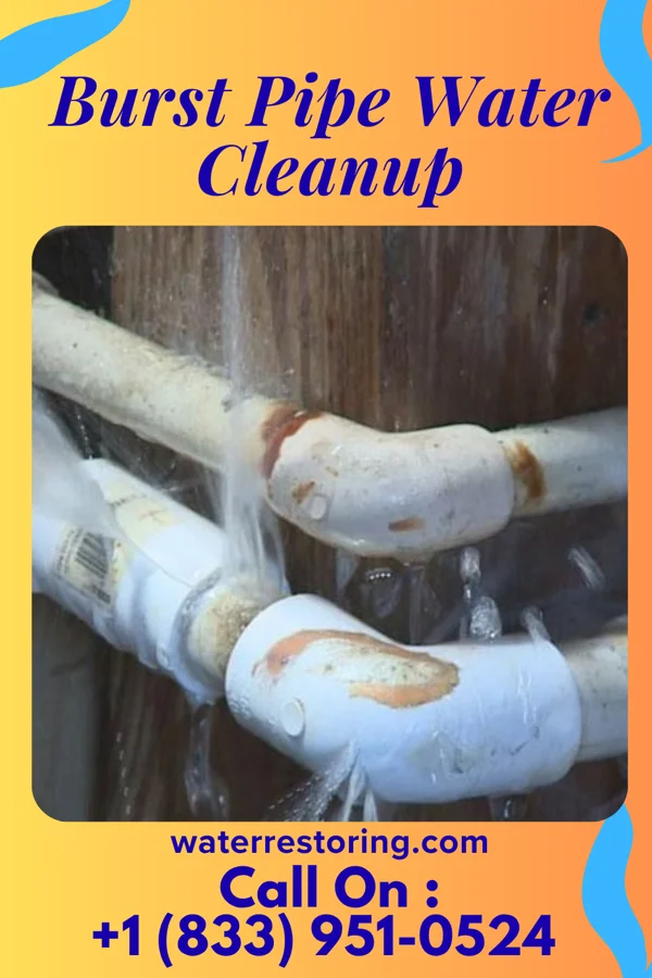 Burst Pipe Water Cleanup in North Star, OH