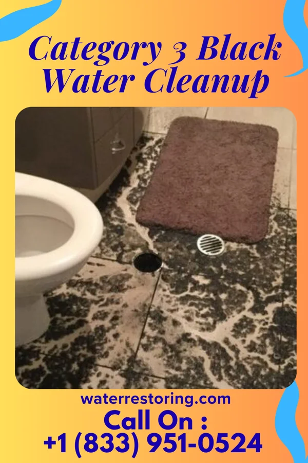 Category 3 Black Water Cleanup in North Star, OH