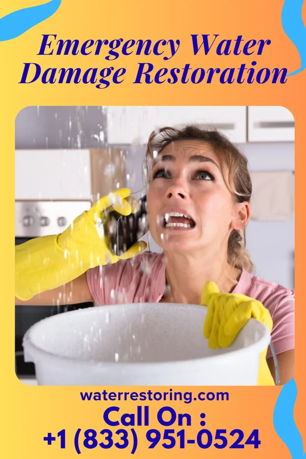 Emergency Water Damage Restoration in North Star, OH