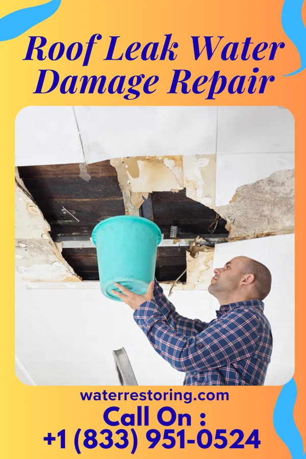 Roof Leak Water Damage Repair in North Star, OH