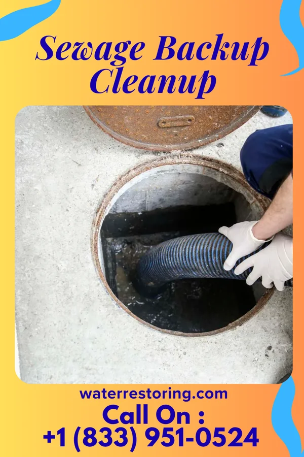 Sewage Backup Cleanup in North Star, OH
