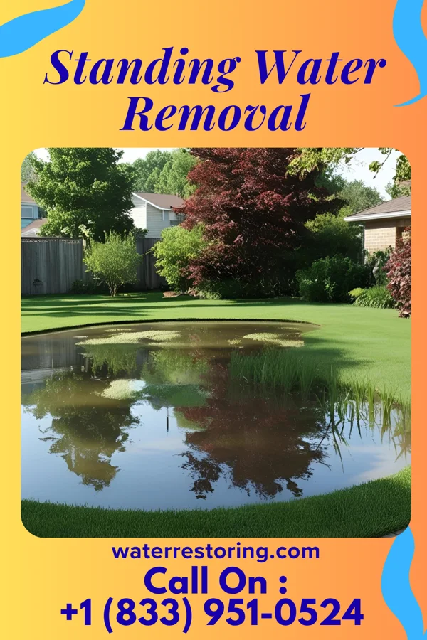 Standing Water Removal in North Star, OH